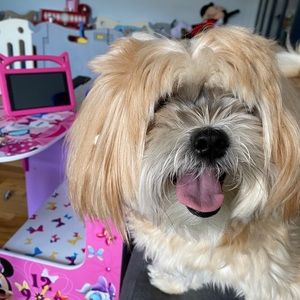 Meet your Posher, Julia